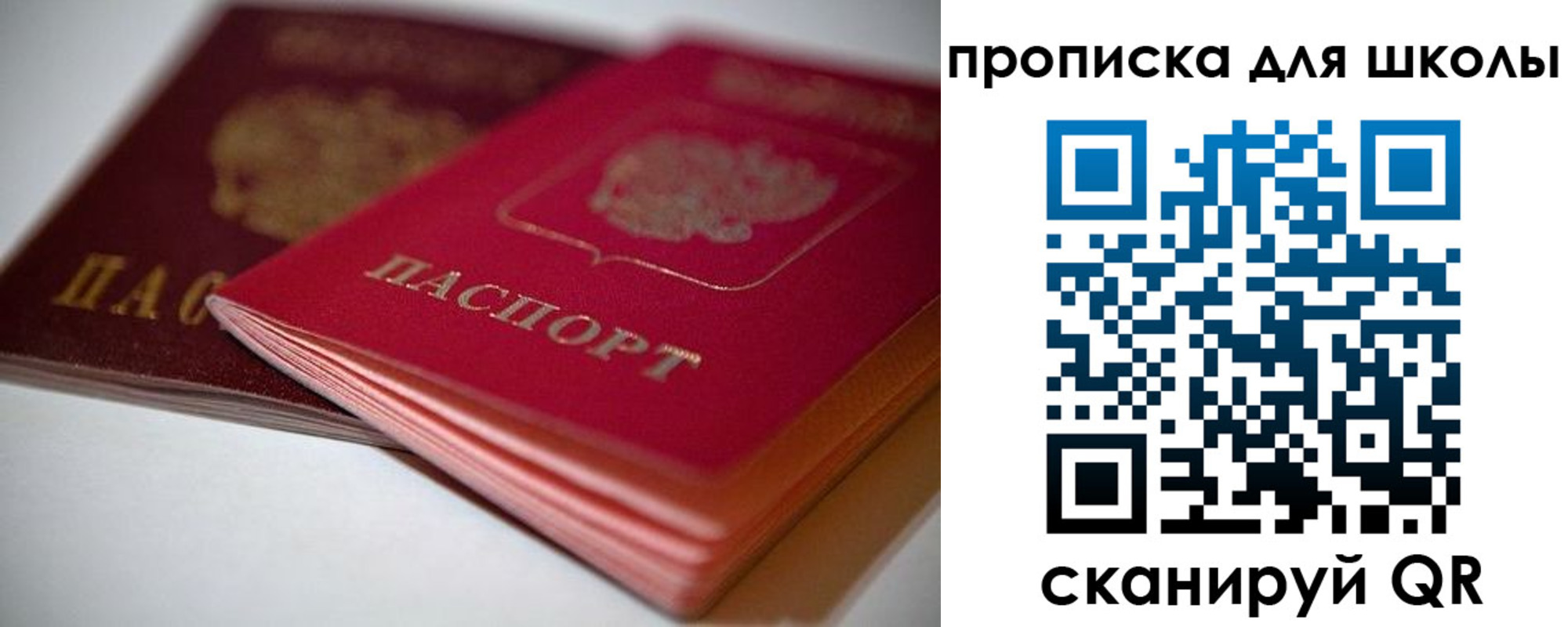 прописка для школы в Сольцах